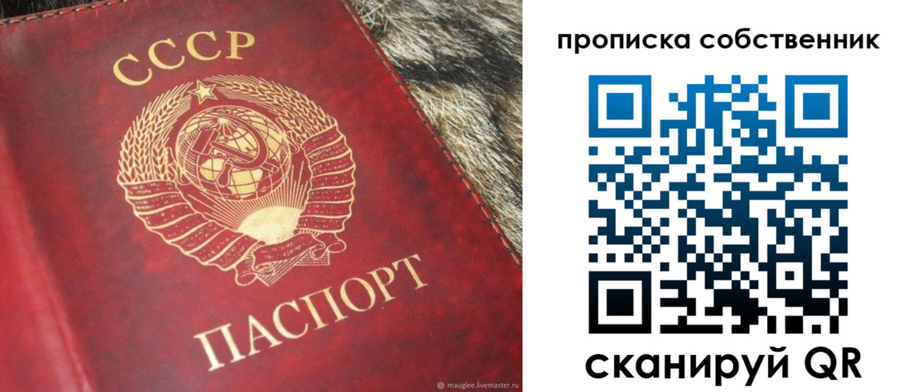 прописка в квартире в Электроуглях